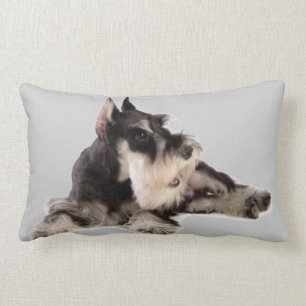 GIANT SCHNAUZER LUMBAR PILLOW