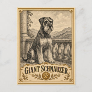 Giant Schnauzer, Vintage Heritage Dog Postcard