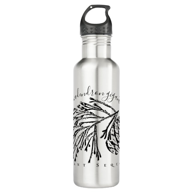 Giant Sequoia 710 Ml Water Bottle (Front)