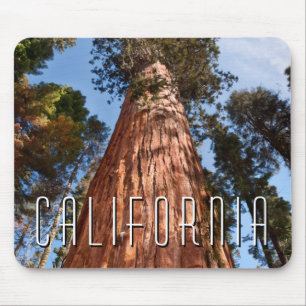 Giant Sequoia Ascends Mouse Pad