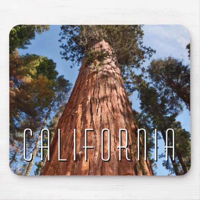 Giant Sequoia Ascends Mouse Pad (Front)