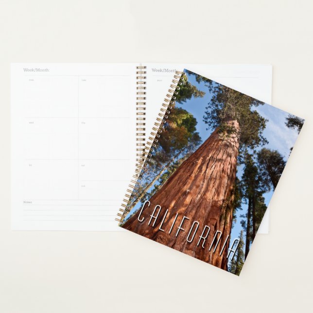 Giant Sequoia Ascends Planner (Display)