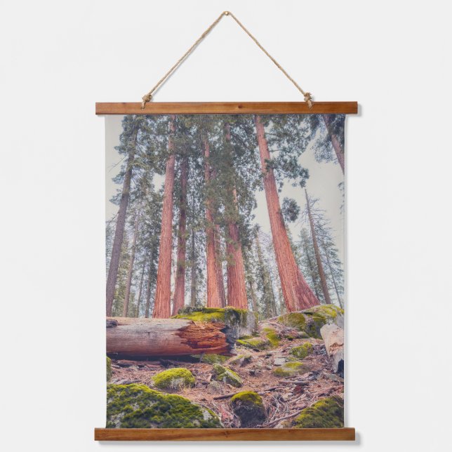 Giant Sequoia Forest Landscape Hanging Tapestry (Front)