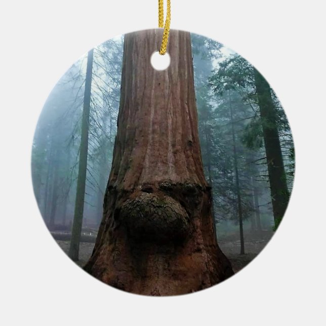 Giant Sequoia Tree in Grant Grove, CA Ceramic Ornament (Front)