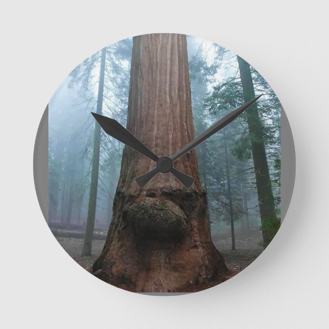 Giant Sequoia Tree in Grant Grove, CA Round Clock (Front)