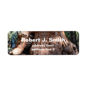 Giant sequoia tree trunk  personal address labels.