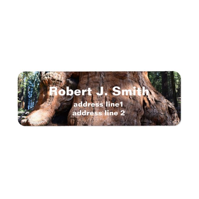 Giant sequoia tree trunk  personal address labels. (Front)