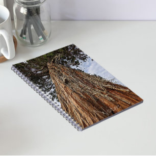 Giant Sequoia Tree Trunk Photo Notebook