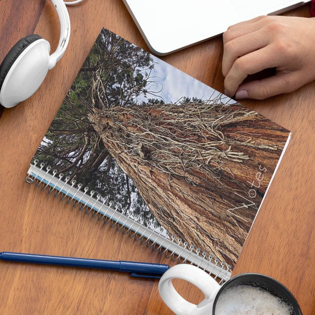 Giant Sequoia Tree Trunk Photo Notebook (In Situ)
