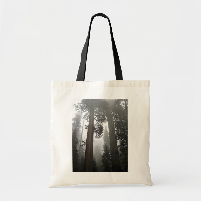 Giant Sequoia Trees in the Fog, CA Tote Bag (Front)