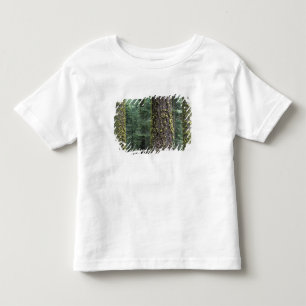 Giant Sequoia trees in the forest, Sequoia and Toddler T-shirt