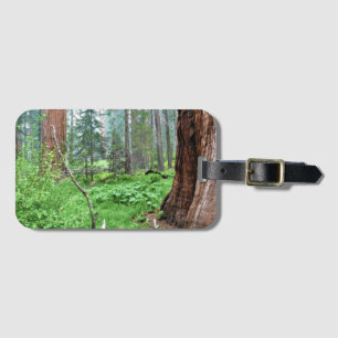 Giant Sequoias in Grant Grove, CA Luggage Tag