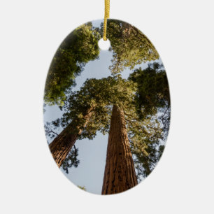 Giant Sequoias in Sequoia National Park Ceramic Ornament
