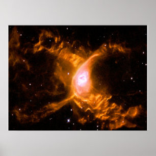 Giant Spider Nebula Spider Lovers Gift Poster