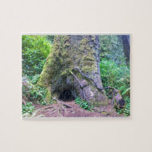 Giant Spruce Tree, Cape Perpetua, Oregon Jigsaw Puzzle