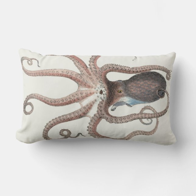 Giant Squid/Octopus/Undersea/Oceanic 20" Pillow (Front)