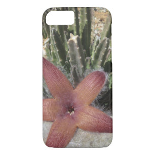 Giant Starfish Cactus Case-Mate iPhone Case