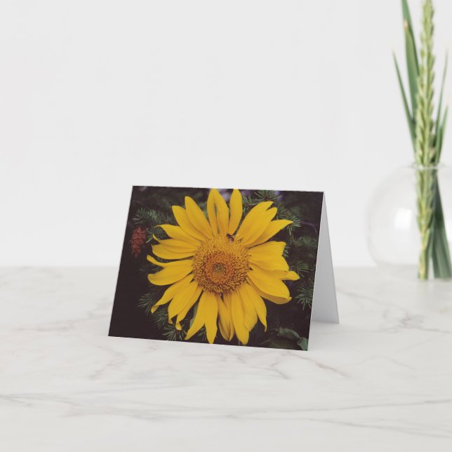 Giant Sunflower with Bee, Green Pine Tree Branches Card (Front)