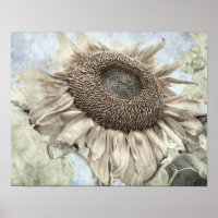 Giant Sunflower Yellow Pastel Chic Vintage Antique