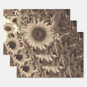 Giant Sunflowers Field Vintage Sepia Decoupage Wrapping Paper Sheet