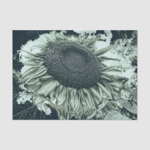 Giant Sunflowers Rustic Green Vintage Tissue Paper