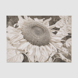 Giant Sunflowers Sepia Brown Texture Art Decoupage Tissue Paper