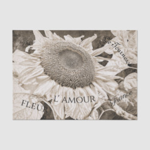 Giant Sunflowers Sepia Brown Texture Art Script Tissue Paper