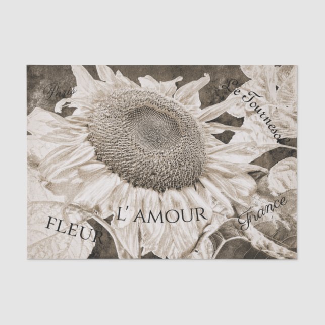Giant Sunflowers Sepia Brown Texture Art Script Tissue Paper (Front)