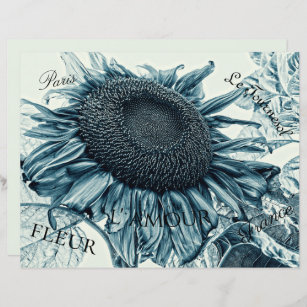 Giant Sunflowers Vintage Art Teal Blue Ephemera