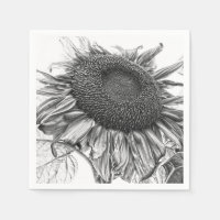 Giant Sunflowers Vintage Black And White Art
