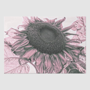 Giant Sunflowers Vintage Blush Pink Decoupage Art Tissue Paper