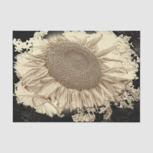 Giant Sunflowers Vintage Sepia Black Vignette Tissue Paper