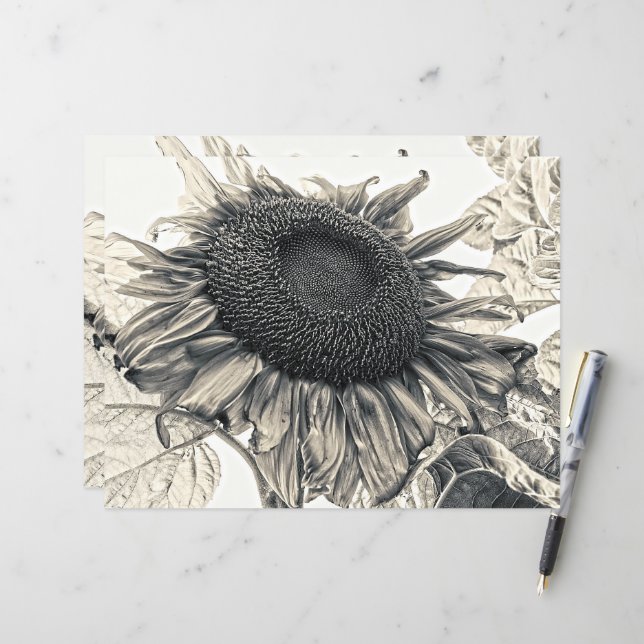 Giant Sunflowers Vintage Sepia Decoupage Art (Front/Back In Situ)