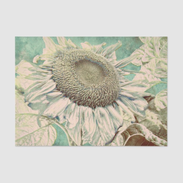 Giant Sunflowers Vintage Teal Pastel Decoupage Tissue Paper (Front)