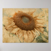 Giant Sunflowers Yellow Old Vintage Decoupage Art