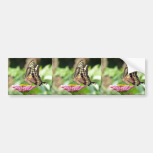 Giant Swallowtail Butterfly Bumper Sticker