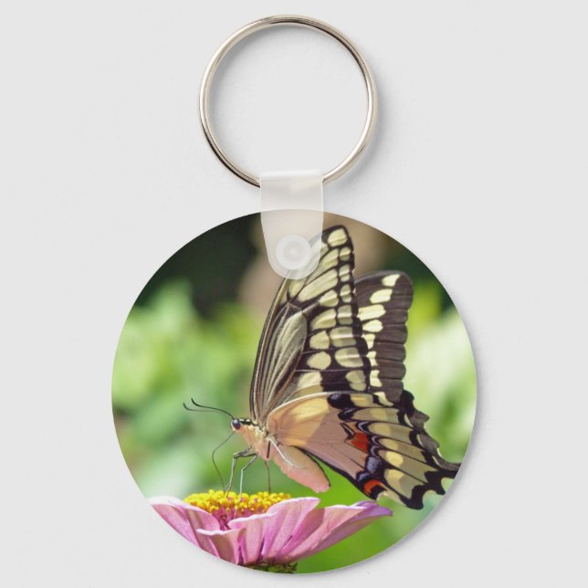 Giant Swallowtail Butterfly Keychain (Front)
