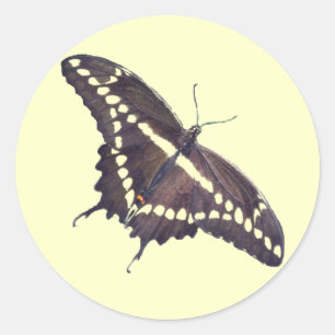 Giant Swallowtail Butterfly Stickers