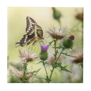 Giant Swallowtail Butterfly Tile