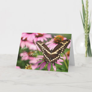 Giant Swallowtail Card