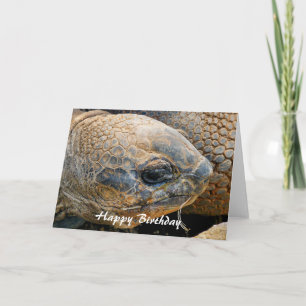 GIANT TORTOISE CARD