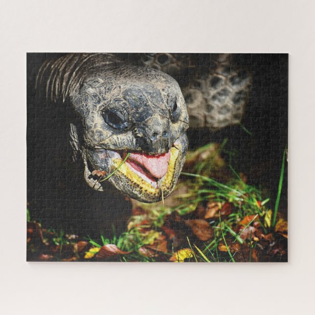 Giant Tortoise, Jigsaw Puzzle (Horizontal)