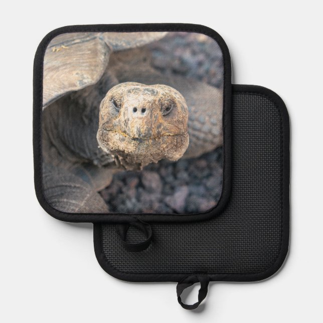 Giant Tortoise Pot Holder (Front/Back)