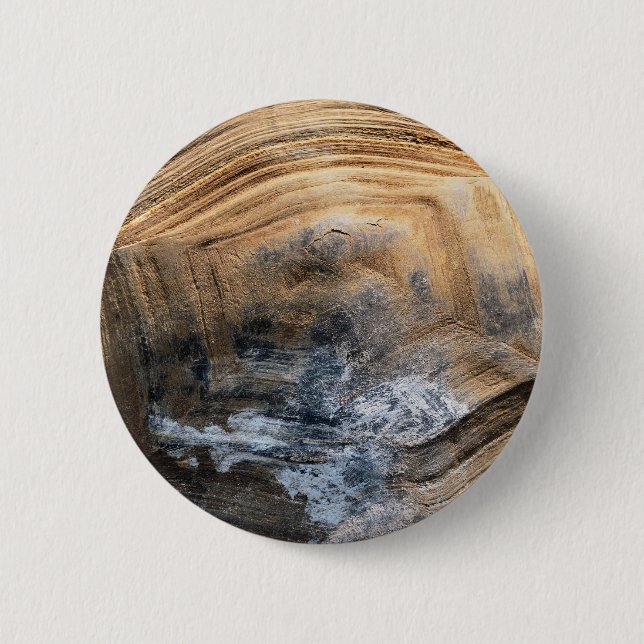GIANT TORTOISE SHELL 2 INCH ROUND BUTTON (Front)