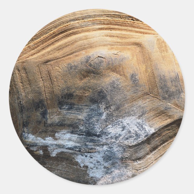 GIANT TORTOISE SHELL CLASSIC ROUND STICKER (Front)