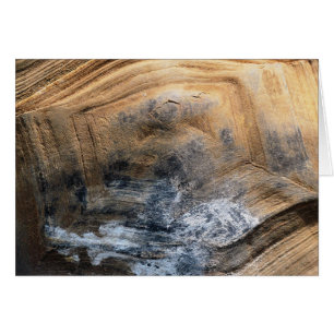 GIANT TORTOISE SHELL GREETINGS CARD