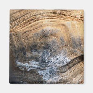 GIANT TORTOISE SHELL MAGNET