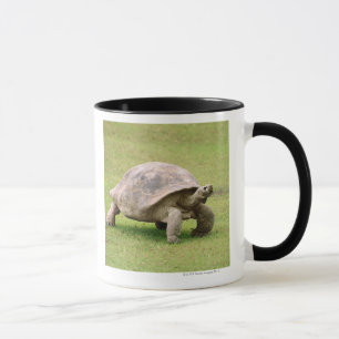 Giant Tortoise walking on grass Mug