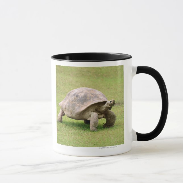 Giant Tortoise walking on grass Mug (Right)