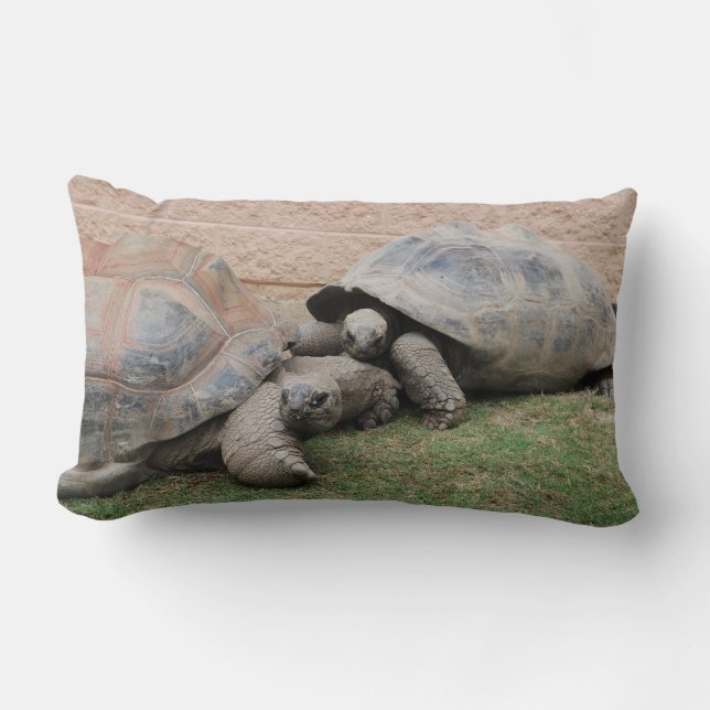 giant tortoises lumbar pillow (Front)